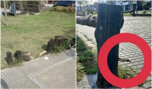 Parque Lineal Haedo