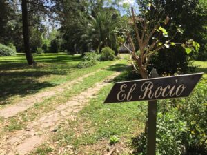 Nuevo Código Urbano en Ituzaingó