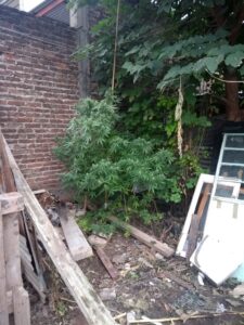 Allanamiento por drogas en barrio San Juan