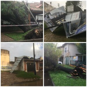 Arbol caído en xxx; cartelería ccc; techo volado y arbol sacado de raíz.