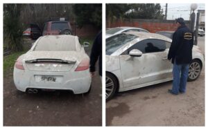 Auto Los Monos