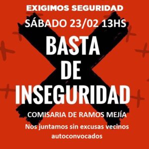 Basta de inseguridad