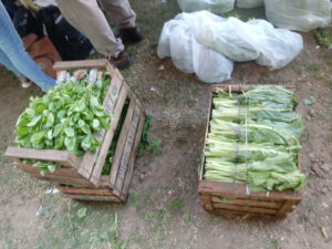 Verdurazo en Moreno