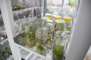 En 2020 el laboratorio se abrirá a los estudiantes para que puedan desarrollar allí sus tesis de grado